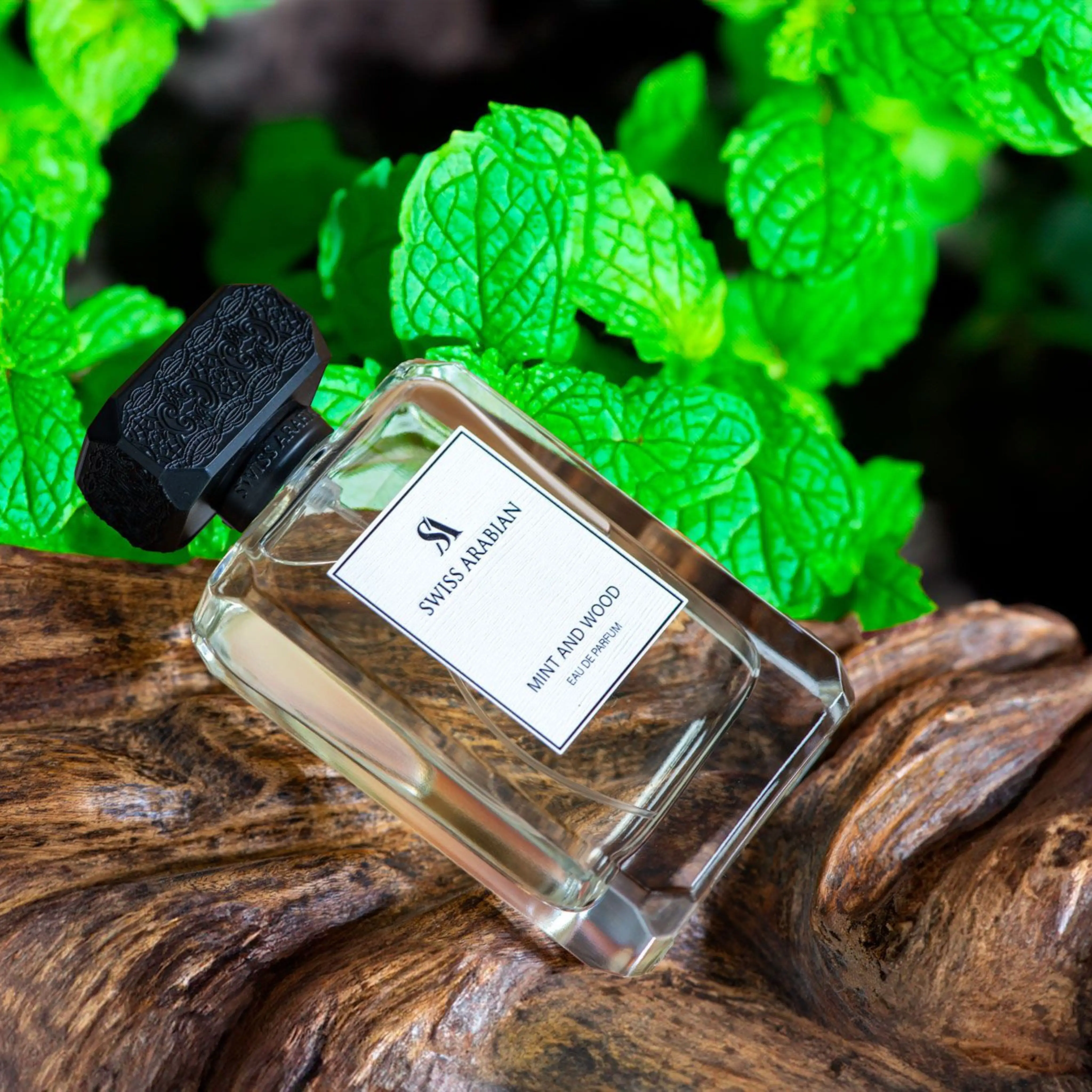 Mint And Wood 100ml EDP By Swiss Arabian