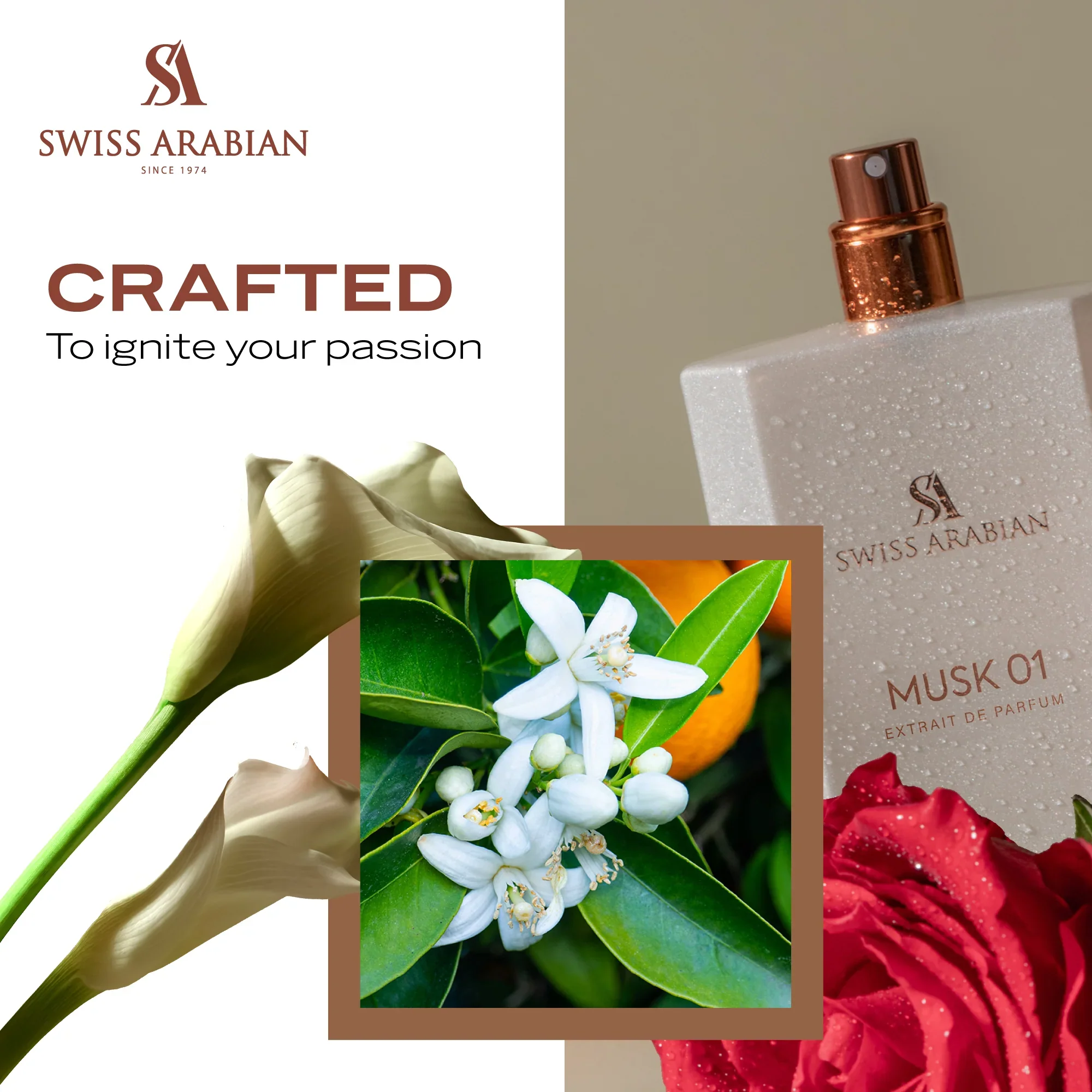 Musk 01 50ml EDP By Swiss Arabian - Image 2