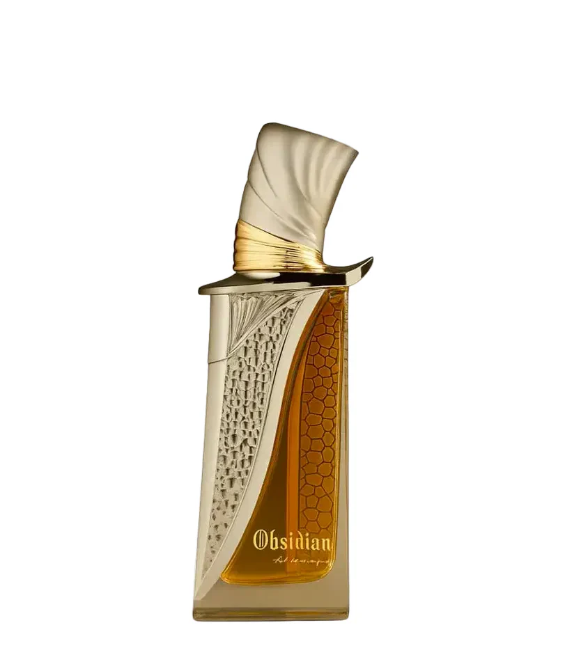 Obsidian 100ml EDP By French Avenue - Image 3