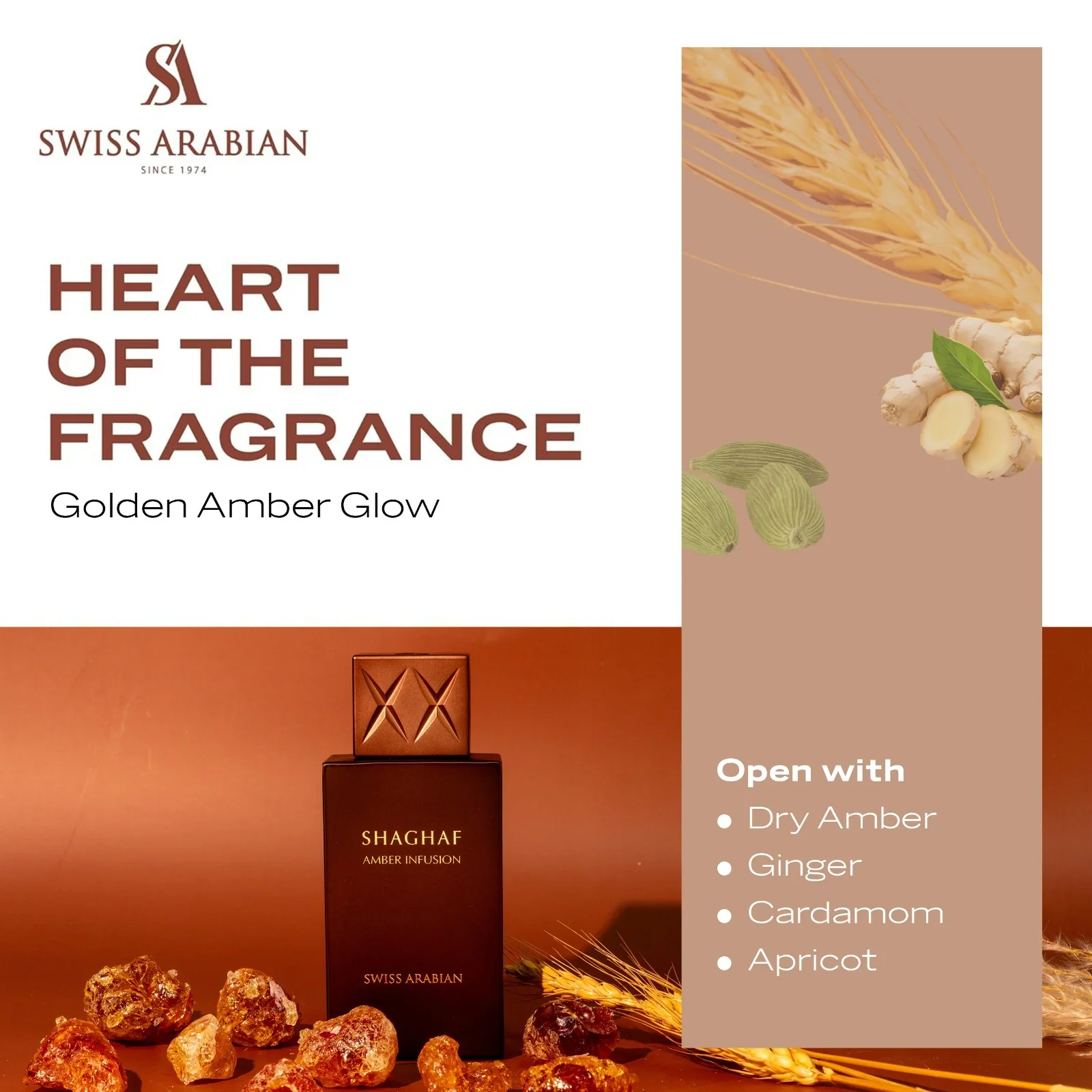 Shaghaf Amber Infusion 75ml EDP By Swiss Arabian - Image 3